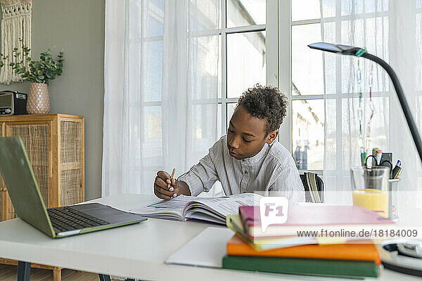 Boy studying on table at home