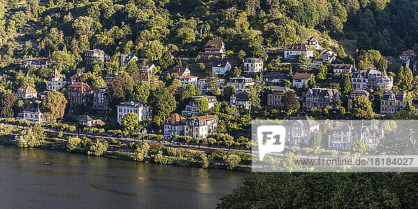 Germany  Baden-Wurttemberg  Heidelberg  Riverside villas in sunshine