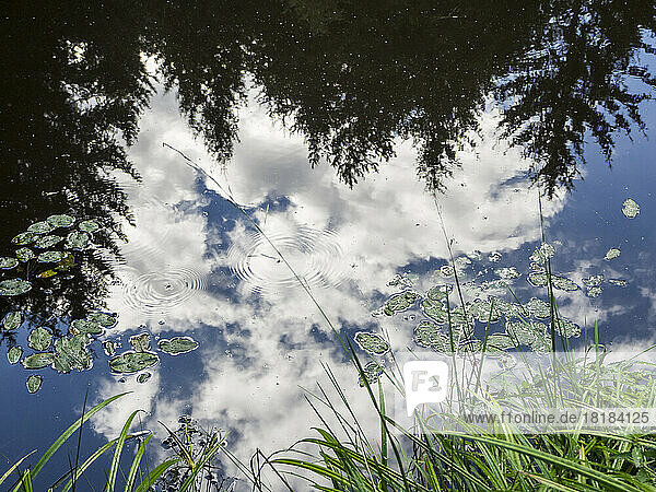 Clouds reflecting in clear pond