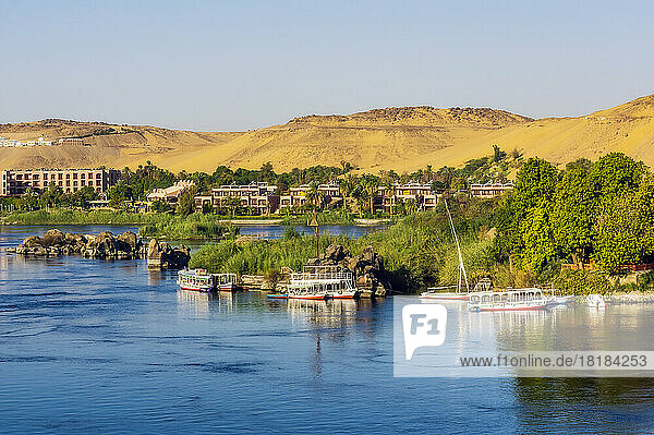 Egypt  Aswan Governorate  Aswan  Tourboats moored on bank of Nile river