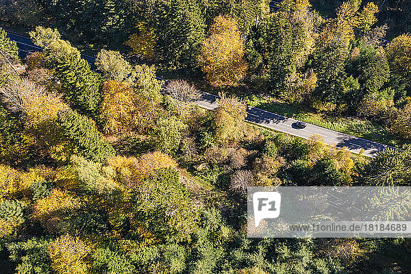 Germany  Baden-Wurttemberg  Aerial view of asphalt road cutting through autumn woodland of Black Forest