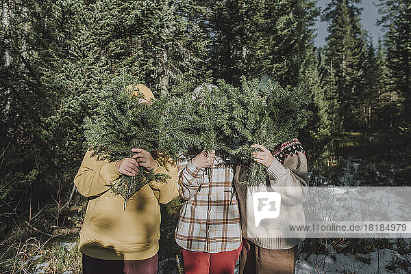 Freunde bedecken Gesichter mit Fichtenzweigen im Wald
