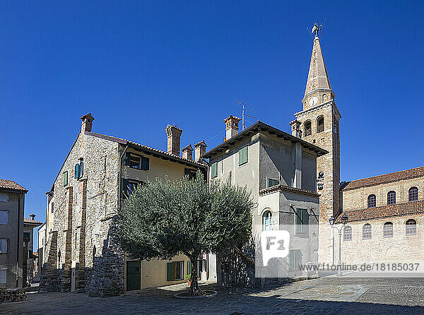 Italy  Friuli Venezia Giulia  Grado  Olive tree and old houses in front of Basilica of Sant Eufemia