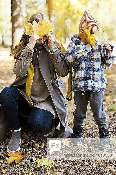 Mother and son covering eyes with yellow maple leaves in park