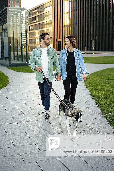 Couple holding hands walking with dog on footpath