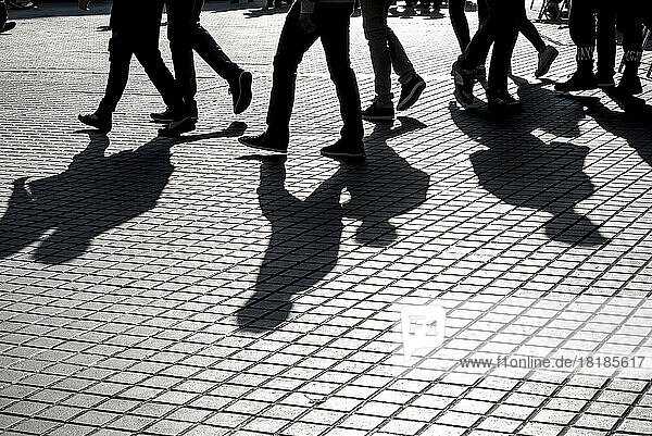 Shadows of people walking on pavement