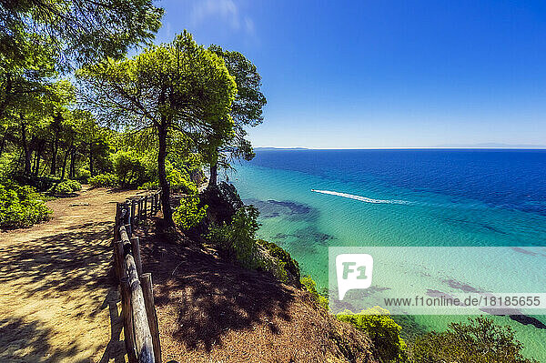 Greece  Central Macedonia  Mediterranean Sea seen from coastal hilltop in summer