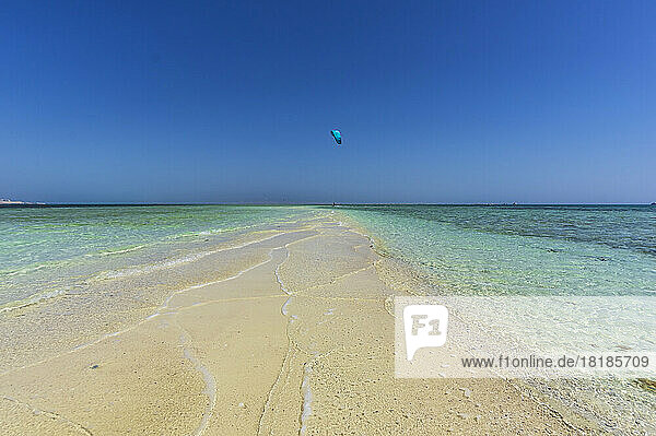 Egypt  Red Sea Governorate  Hurghada  Shore of sandy beach with paraglider flying in background
