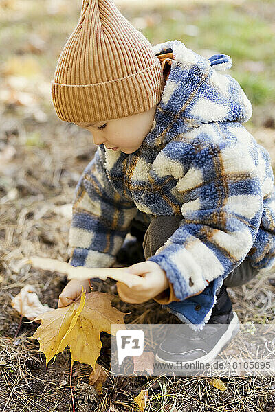 Cute boy picking yellow leaves in park