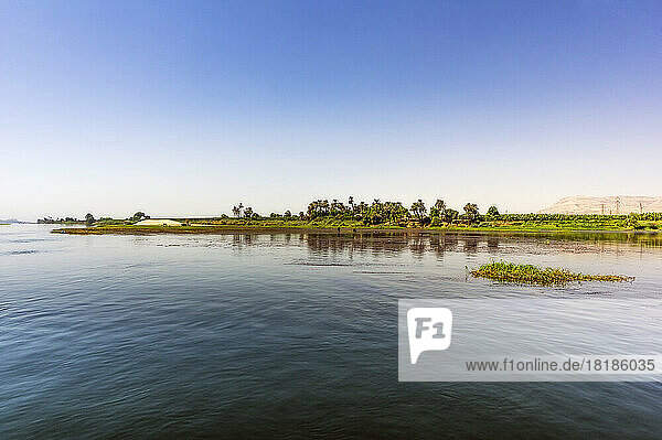 Egypt  Luxor Governorate  Luxor  Nile river and surrounding landscape