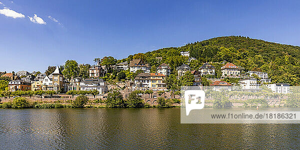 Germany  Baden-Wurttemberg  Heidelberg  Riverside villas in sunshine