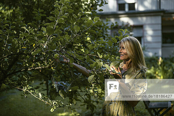 Smiling mature woman touching leaf in garden