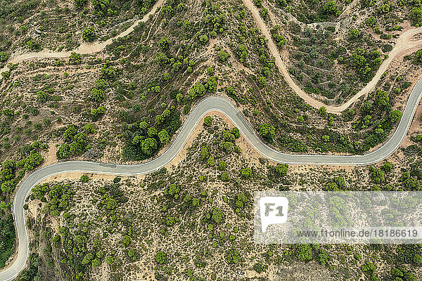 Spain  Catalonia  Les Garrigues  Aerial view of winding country road