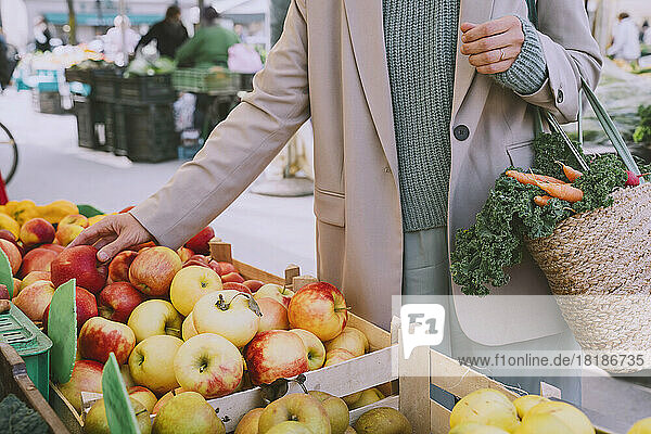 Hand of woman buying fresh apples at market