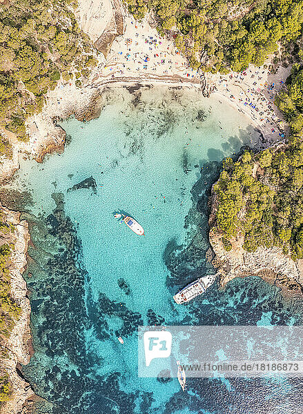 Spain  Balearic Islands  Menorca  Aerial view of Cala Turqueta beach