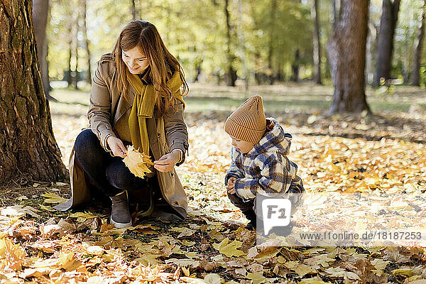 Mutter und Sohn sammeln gelbe Blätter im Park