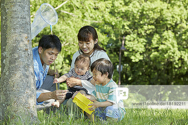 Japanese family collecting insects