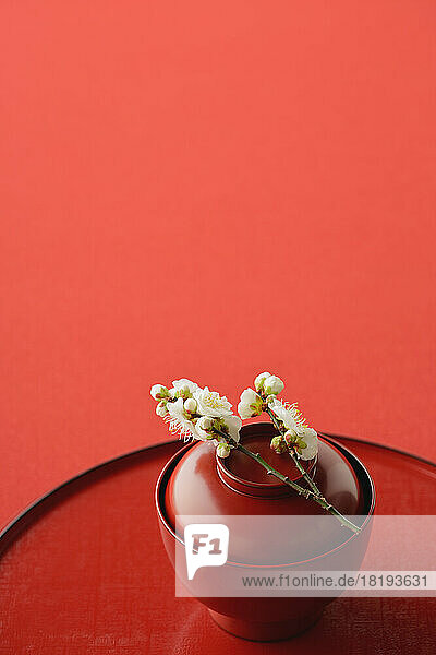 Plum blossoms on Japanese cup
