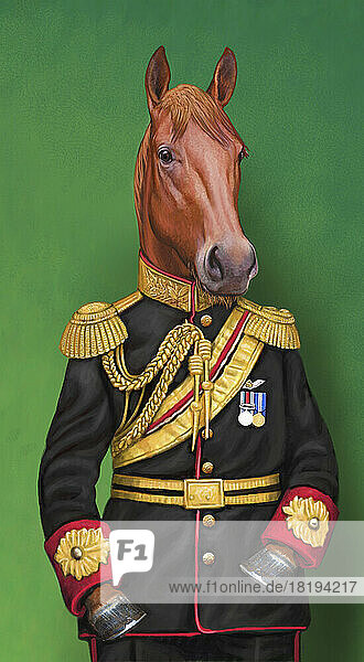 Pferd in Militäruniform gekleidet