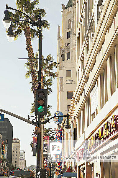 Traffic light and palm tree in Los Angeles  California