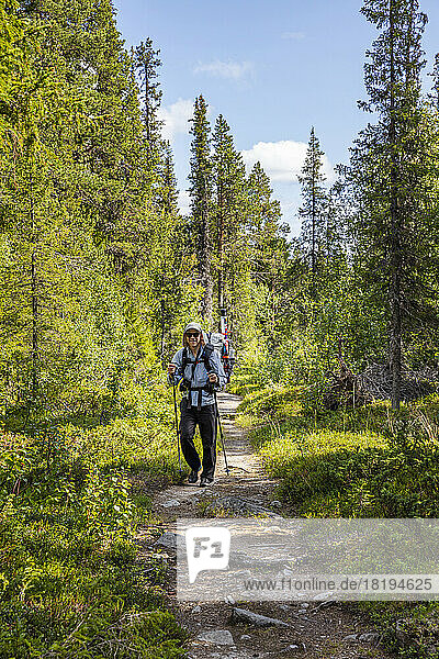 Man hiking on trail through forest