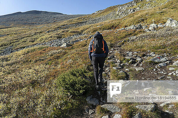 Young man hiking on mountain