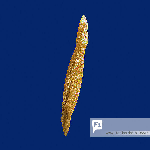 Close up still life raw trofie pasta on blue background