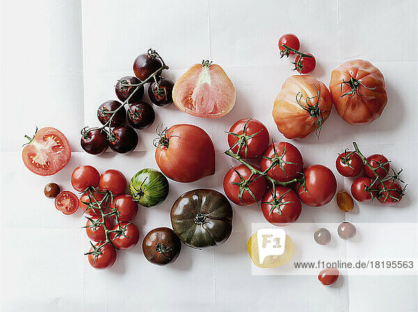 Blick von oben Stillleben Vielfalt von Tomaten auf weißem Hintergrund