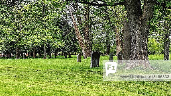 Bullys Acre  ehemaliger kostenloser Friedhof  Armenfriedhof  Garten am Royal Hospital in Kilmainham  Dublin  Irland  Europa