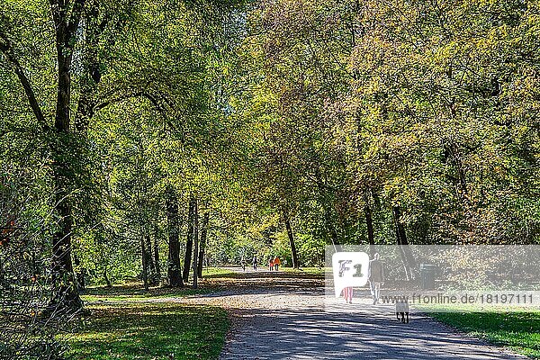 Spazierweg im Englischen Garten im Herbst  München  Oberbayern  Bayern  Deutschland  Europa