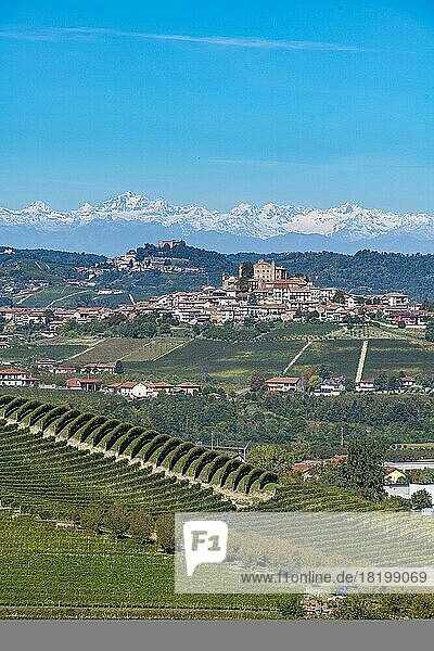 Weinberge vor den Alpen in der Unesco-Welterbestätte Piemont  Italien  Europa