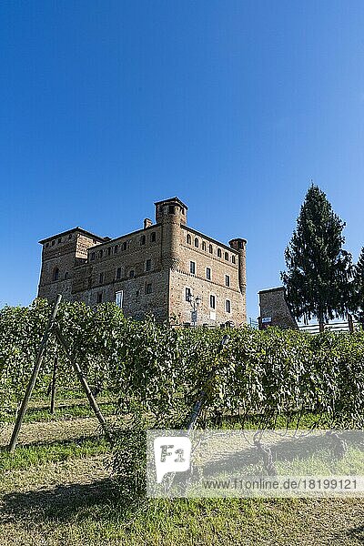 Schloss von Grinzane Cavour  Unesco-Welterbe Piemont  Italien  Europa