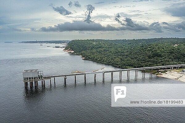 Shore of the Amazon river  Manaus  Amazonas state  Brazil  South America