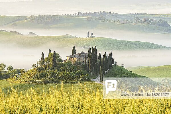 Podere Belvedere  Landgut in hügeligen Feldern  Morgenstimmung mit Frühnebel  San Quirico dOrcia  Val dOrcia  Toskana  Italien  Europa