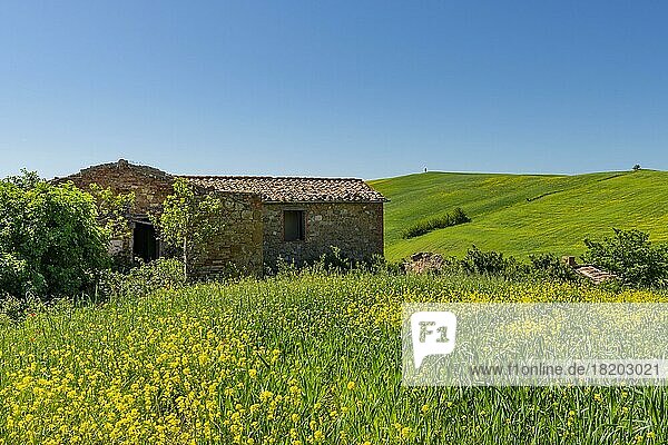 Verlassener Bauernhof  Landschaft um Pienza  Val dOrcia  Orcia-Tal  UNESCO-Weltkulturerbe  Provinz Siena  Toskana  Italien  Europa