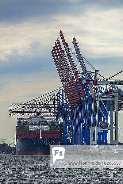 Kraene im Hamburger Hafen entladen ein Containerschiff  Hamburg  Deutschland  Europa