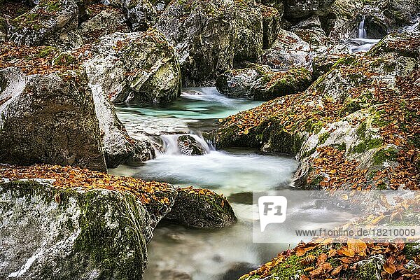 Herbstlicher Wasserlauf an der Lepenjica  Lepena  Soca Tal  Bovec  Triglav Nationalpark  Slowenien  Europa