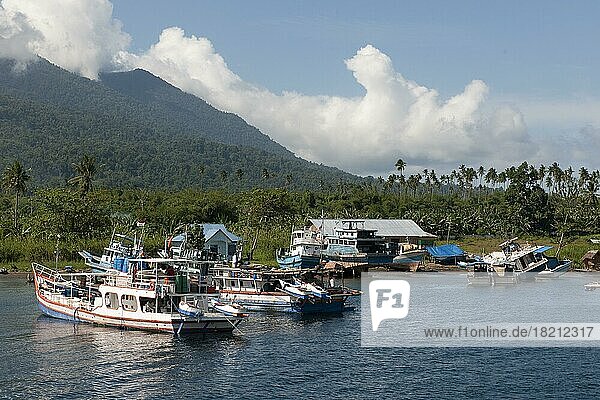 Indonesische Fischerboote in kleiner Bucht  Halmahera  Molukken  Indonesien  Asien