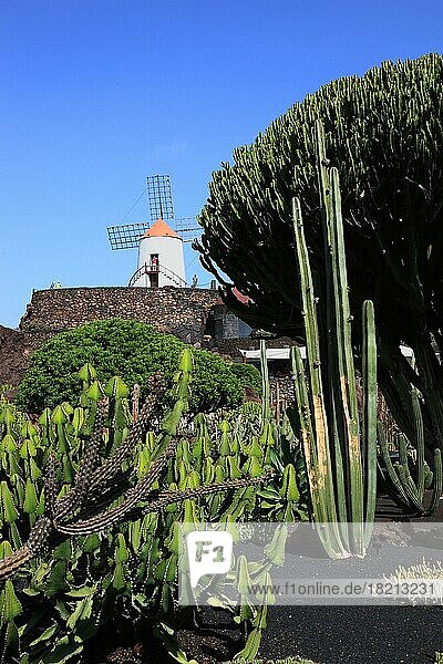 Gofio-Mühle  Kakteengarten Jardín de Cactus bei Guatiza  Lanzarote  Kanarische Inseln  Spanien  Europa