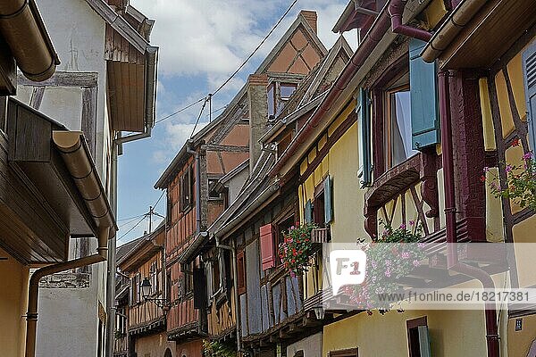 Bunte Fachwerkhäuser der historischen Altstadt von Eguisheim  Elsass  Frankreich  Europa