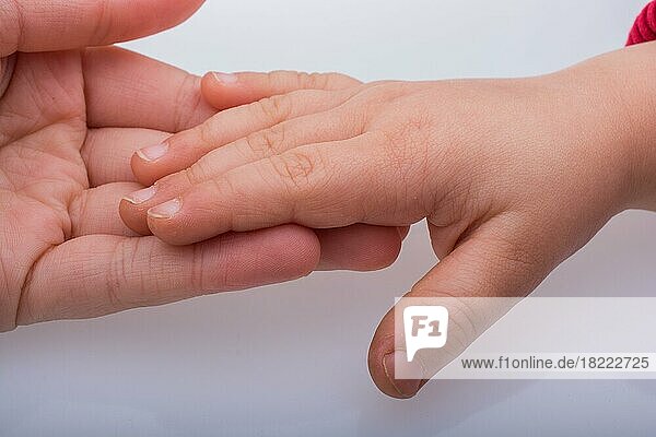 Child and grown up hands together on a white backgkround