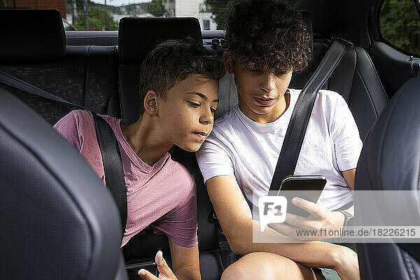 Brothers wearing seat belts sharing smart phone with each other while sitting in car