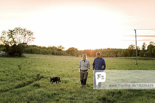 Älteres Paar mit Hund beim Spaziergang auf einem Feld bei Sonnenuntergang