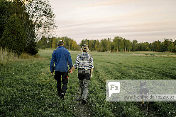 Paar hält sich an den Händen und geht mit Hund auf einem Feld bei Sonnenuntergang spazieren