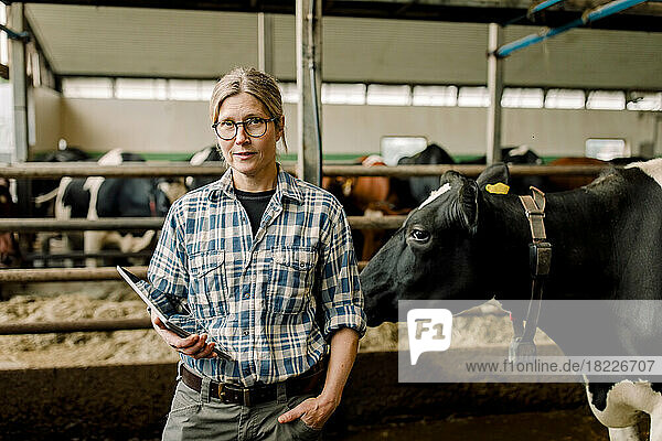 Landwirtin mit Tablet-PC neben einer Kuh auf einer Rinderfarm