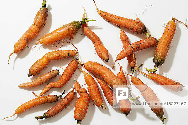 Overhead view of fresh carrots on white background