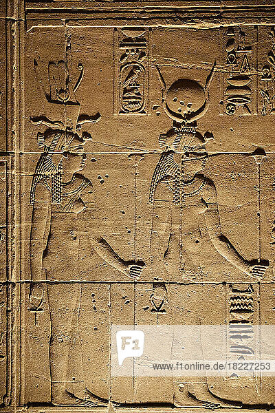 Egypt  Island of Philea  Close-up of bas relief in Temple of Isis