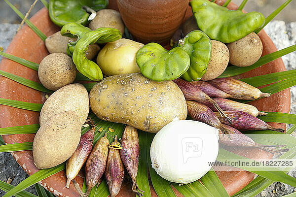 Display of regional Mexican vegetables with leaf decoration