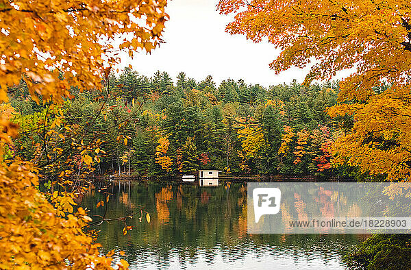 View of a boathouse on a calm lake through the trees on an autumn day.