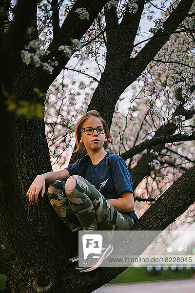Pre-teen girl with glasses climbs in a spring blossom tree